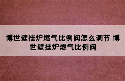 博世壁挂炉燃气比例阀怎么调节 博世壁挂炉燃气比例阀